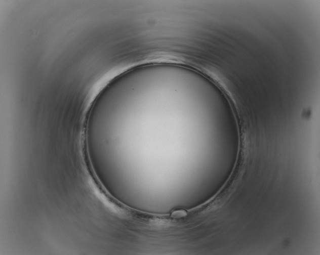 X0000112431379200908281852