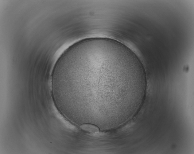 X0000112431380200908281851