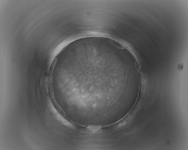 X0000112431381200908281851
