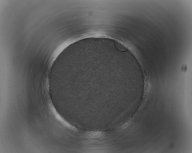 X0000112431382200908281851