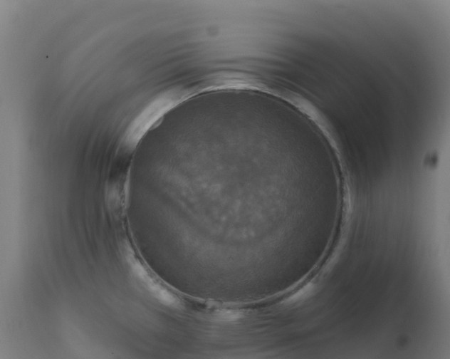 X0000112431385200908281851