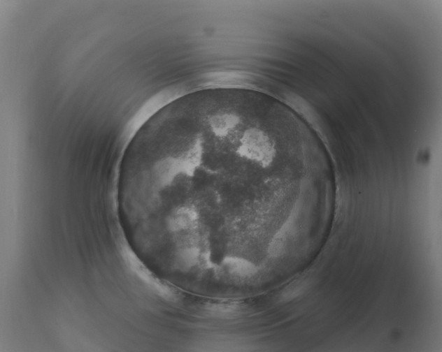 X0000112431386200908281851