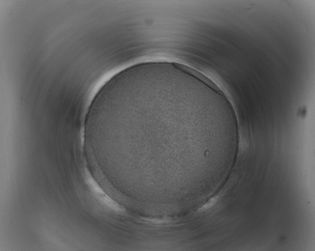X0000112431388200908281851