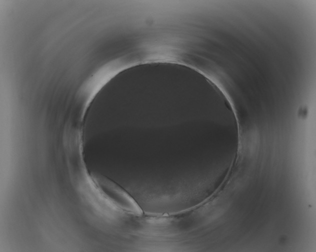 X0000112431389200908281851