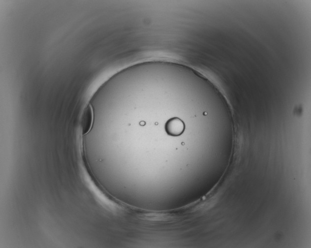 X0000112431391200908281851