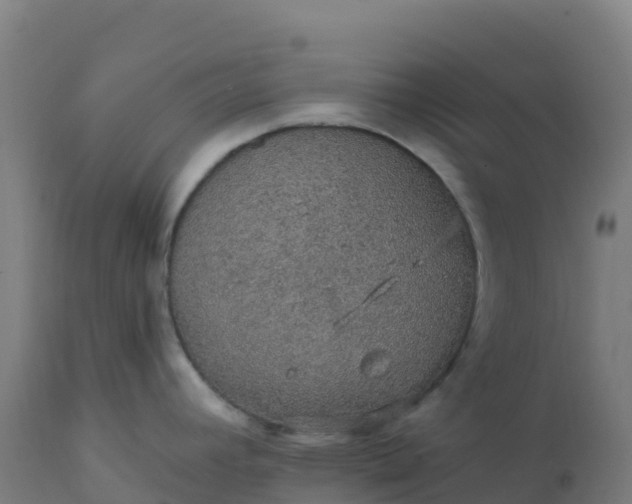 X0000112431392200908281851