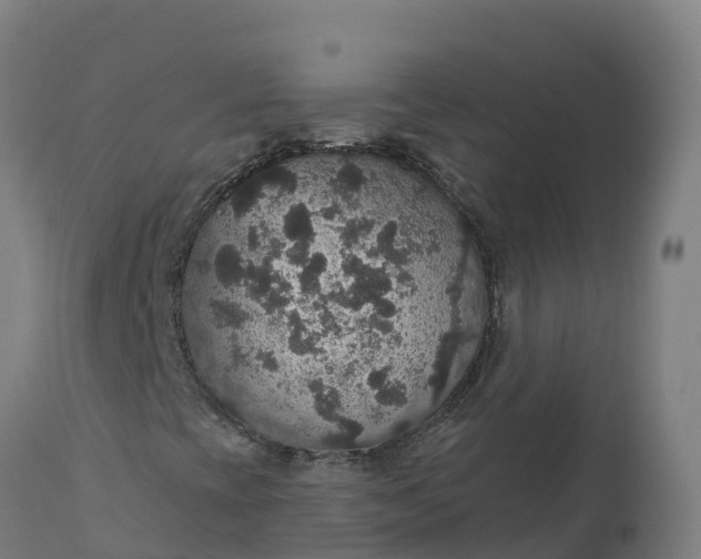 X0000112431393200908281851