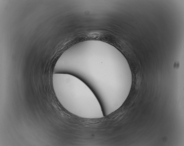 X0000112431394200908281851