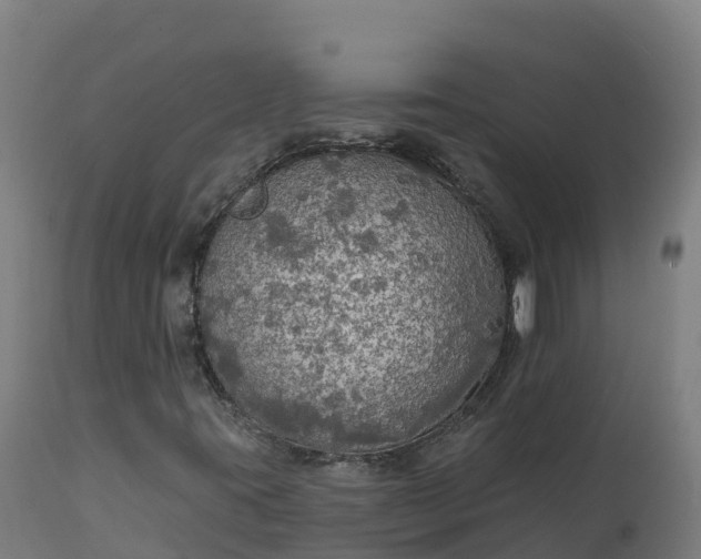 X0000112431395200908281851