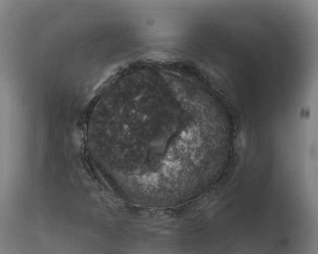 X0000112431397200908281851