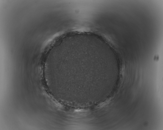 X0000112431398200908281851
