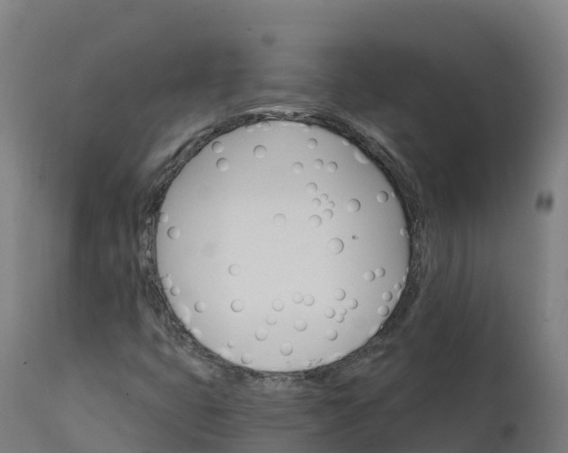 X0000112431399200908281851