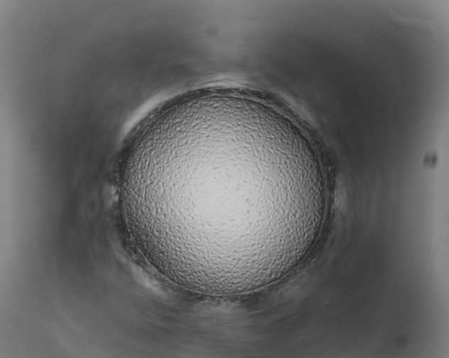 X0000112431400200908281851