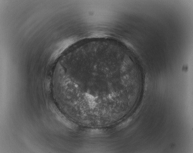 X0000112431401200908281851