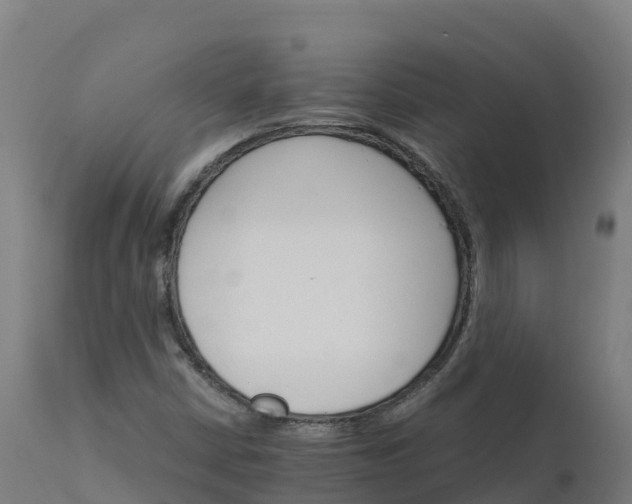 X0000112431402200908281851