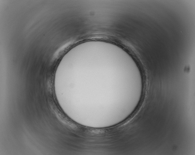 X0000112431403200908281851