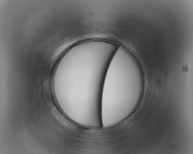X0000112431404200908281851