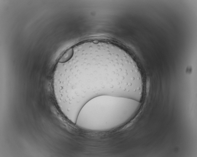 X0000112431405200908281851