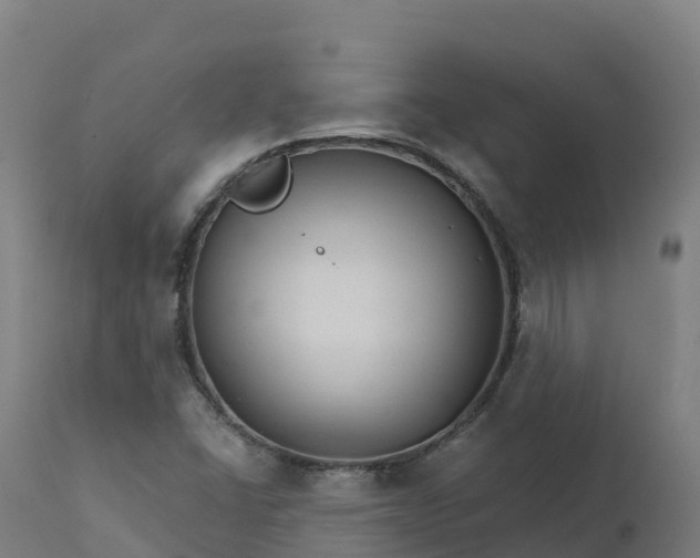 X0000112431406200908281851