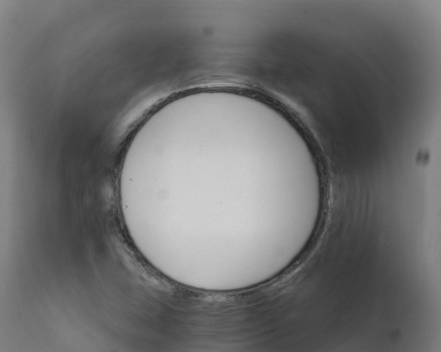 X0000112431407200908281851