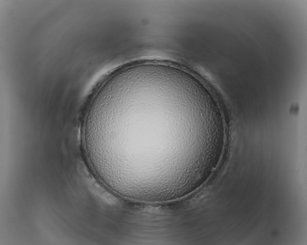 X0000112431408200908281851