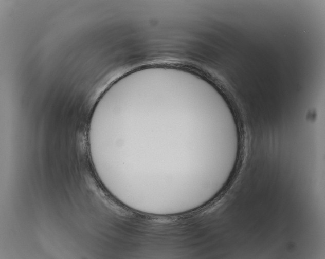 X0000112431409200908281851