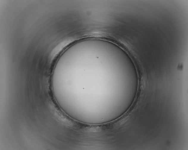 X0000112431410200908281851