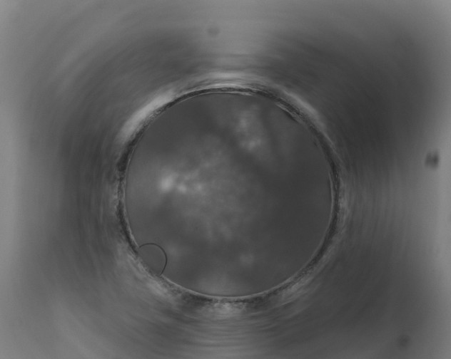X0000112431411200908281851