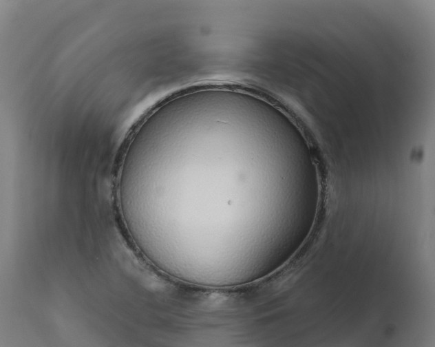 X0000112431412200908281851