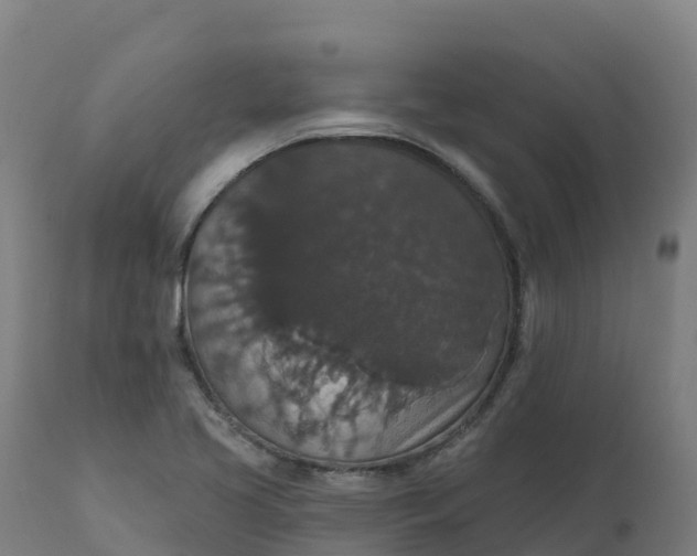 X0000112431413200908281851
