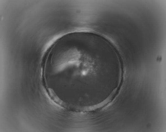 X0000112431414200908281851