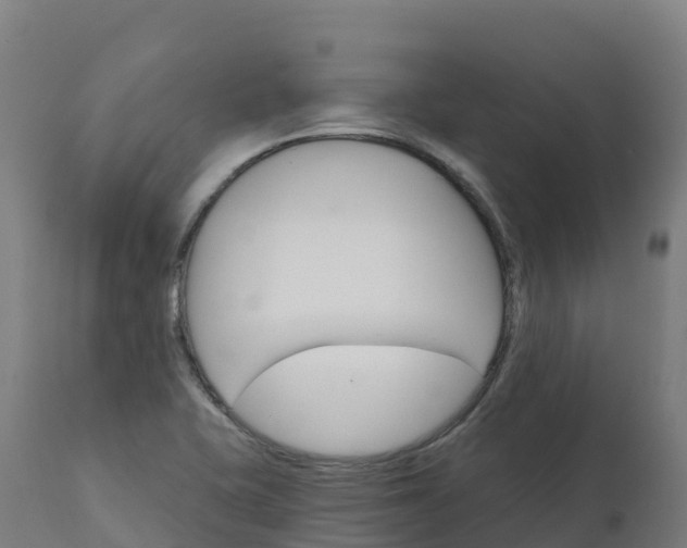 X0000112431415200908281851