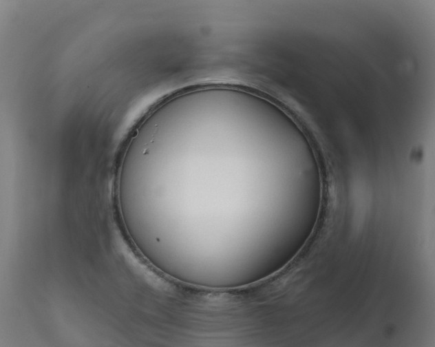 X0000112431416200908281851