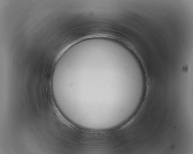 X0000112431417200908281851