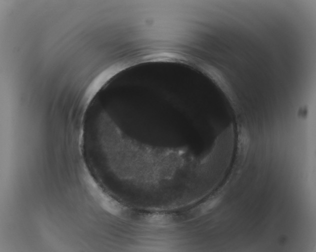 X0000112431418200908281851