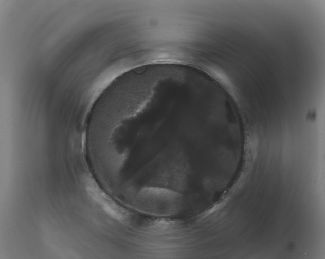 X0000112431419200908281851