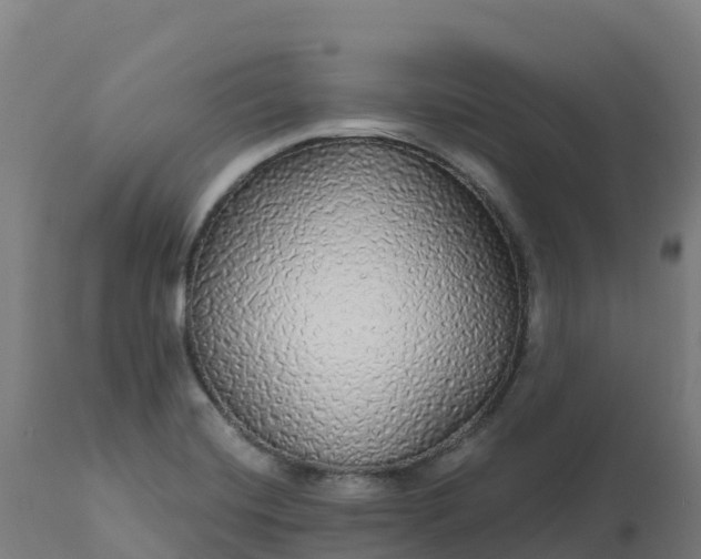 X0000112431420200908281851
