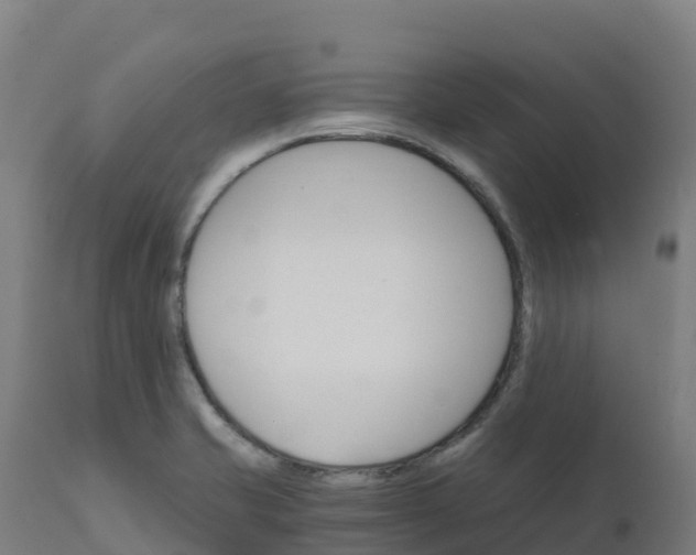 X0000112431421200908281851