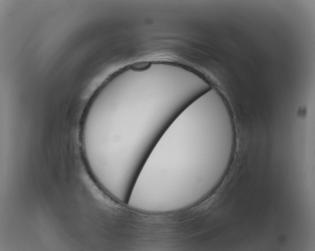 X0000112431422200908281851