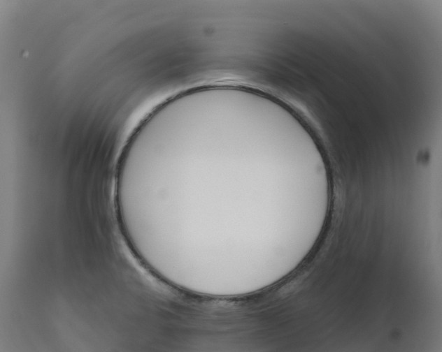 X0000112431424200908281851