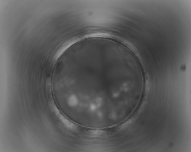 X0000112431425200908281851