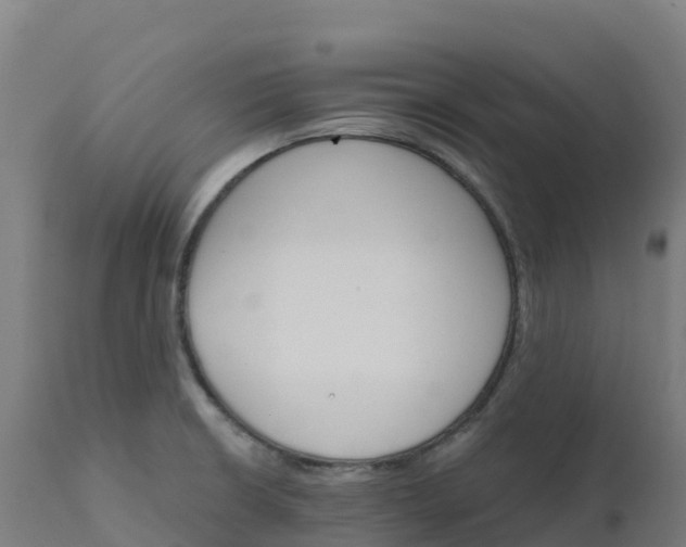 X0000112431426200908281851