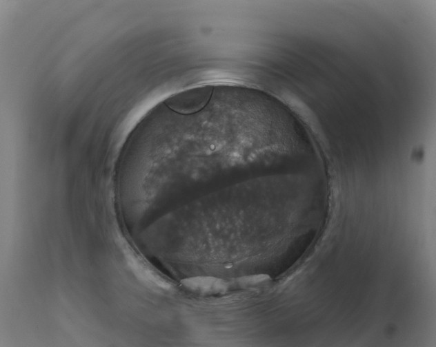 X0000112431427200908281851