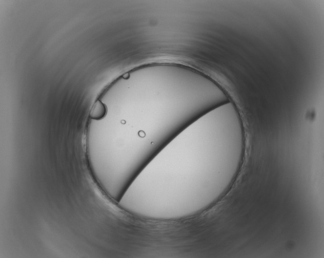 X0000112431428200908281851
