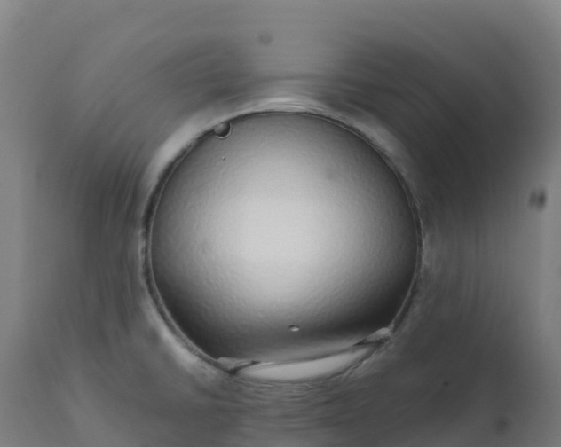 X0000112431430200908281851