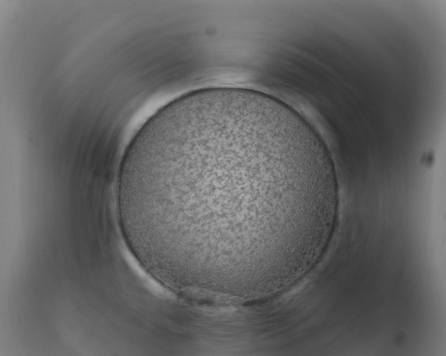 X0000112431432200908281851