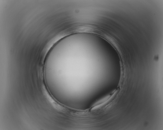 X0000112431434200908281851