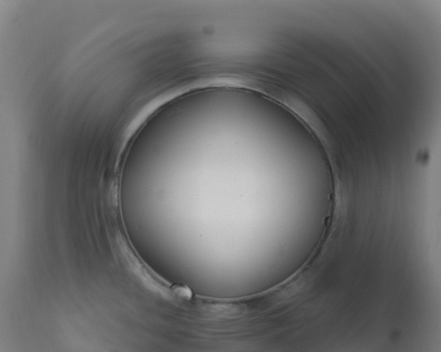 X0000112431436200908281851