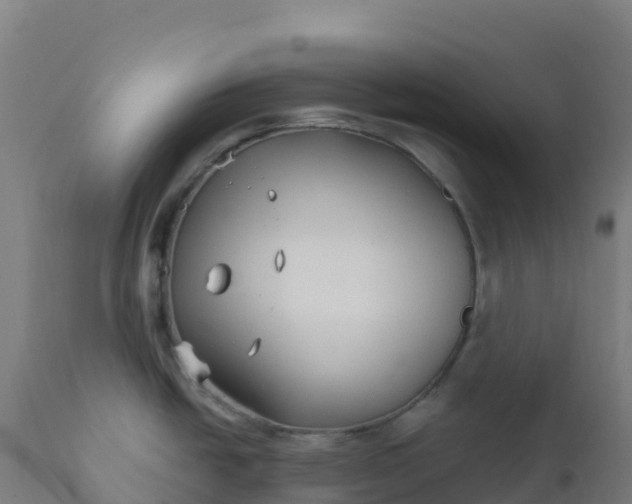 X0000112431438200908281851