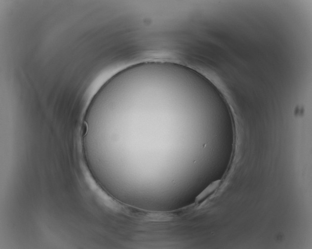 X0000112431440200908281851